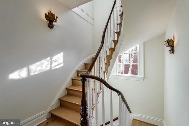 staircase featuring wood-type flooring