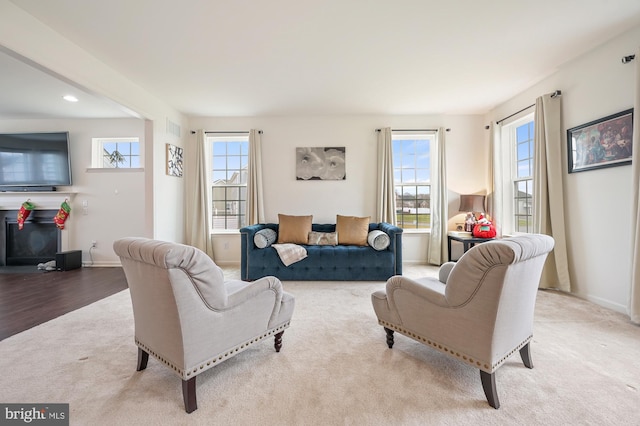 living room featuring a fireplace and light hardwood / wood-style flooring