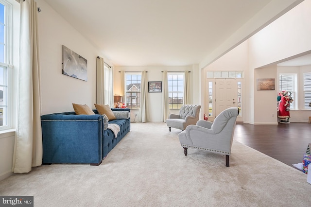 living room featuring carpet flooring