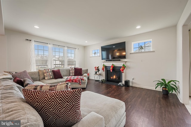 living room featuring dark hardwood / wood-style floors