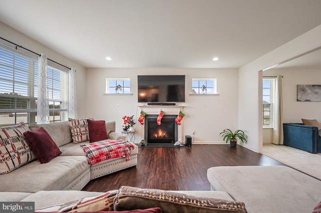 living room with plenty of natural light and hardwood / wood-style floors