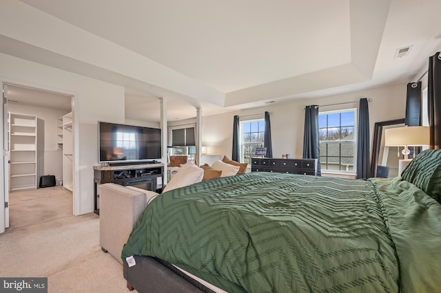 carpeted bedroom featuring a closet, a spacious closet, and a tray ceiling