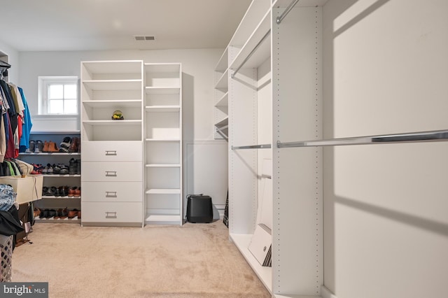 spacious closet with light carpet