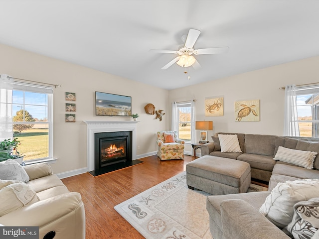 living room featuring hardwood / wood-style flooring, ceiling fan, and plenty of natural light