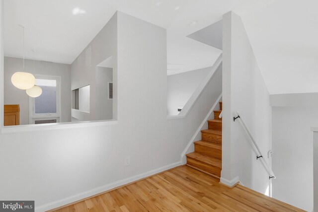 staircase with hardwood / wood-style flooring