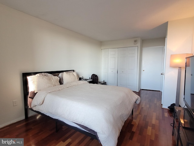 bedroom featuring dark wood-type flooring and a closet