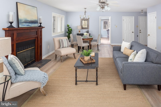 living room with ceiling fan and light wood-type flooring