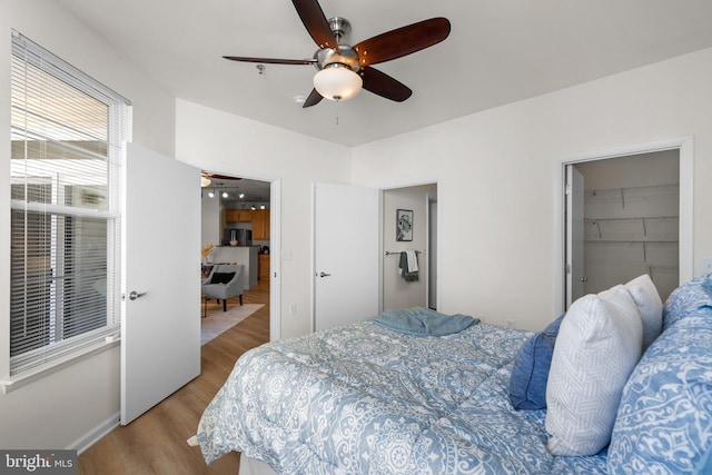 bedroom with a spacious closet, ceiling fan, light wood-type flooring, and a closet