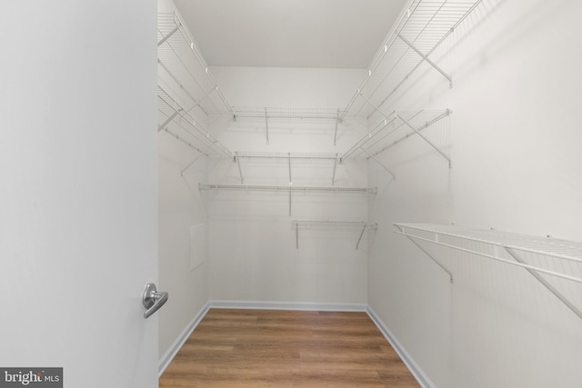 walk in closet with hardwood / wood-style floors