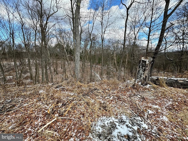 view of local wilderness