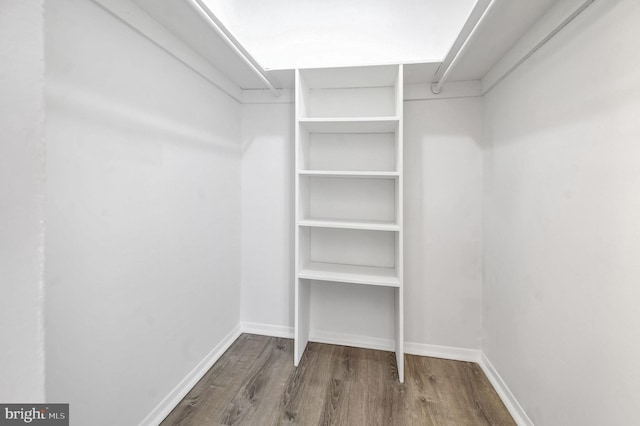 walk in closet with hardwood / wood-style flooring