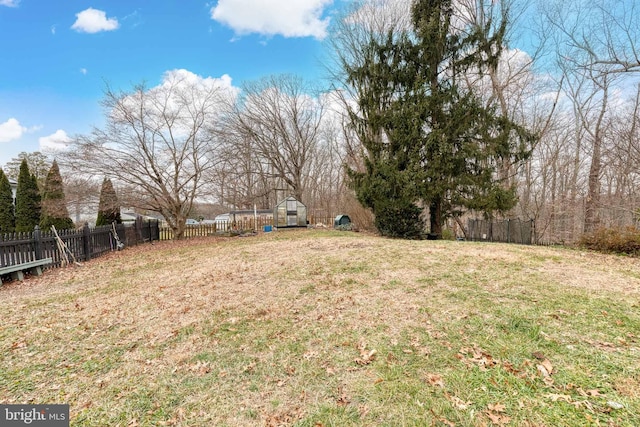 view of yard with a storage unit