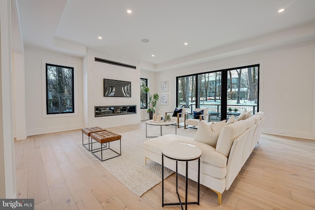 living room with a raised ceiling and light hardwood / wood-style flooring