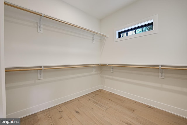 walk in closet featuring hardwood / wood-style flooring