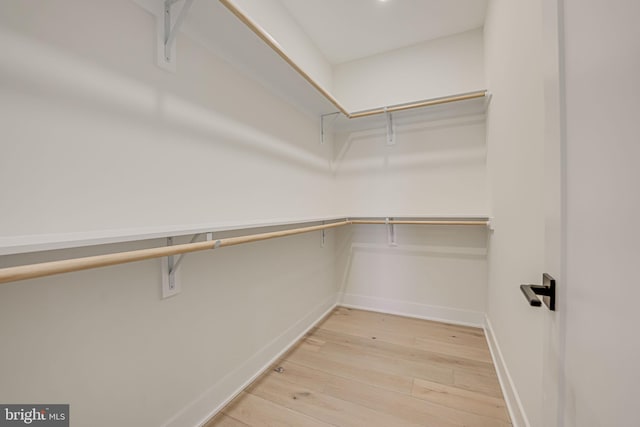 spacious closet with wood-type flooring