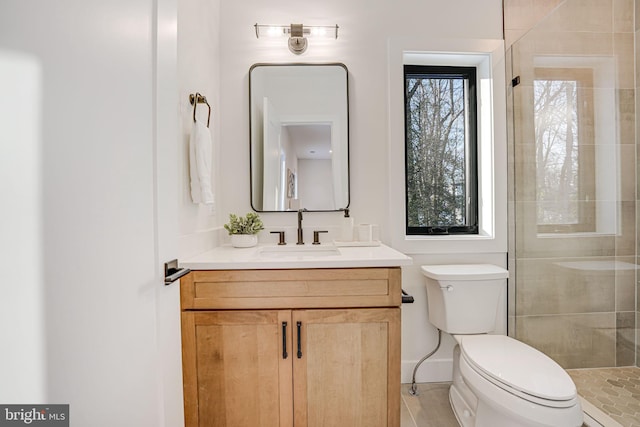 bathroom with toilet and vanity