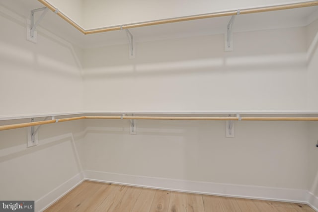 spacious closet with wood-type flooring