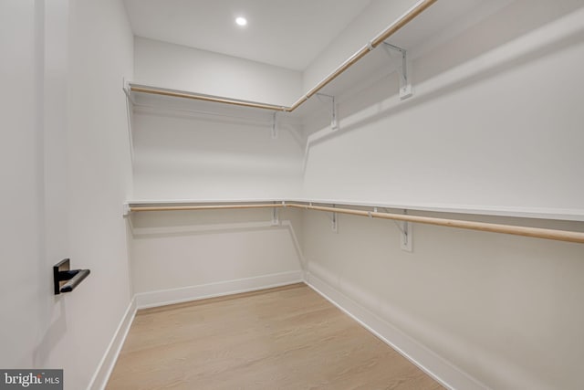 spacious closet with wood-type flooring