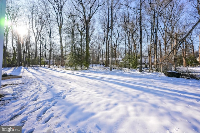 view of yard layered in snow