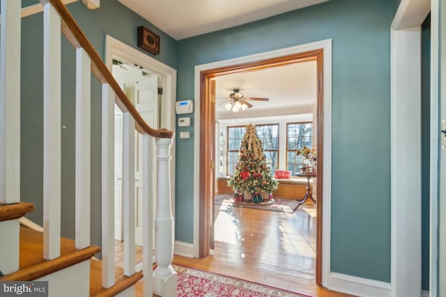 foyer featuring hardwood / wood-style floors and ceiling fan