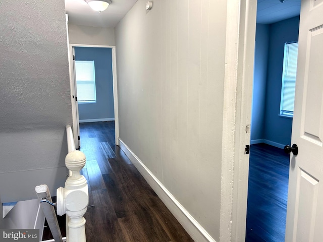 corridor featuring dark hardwood / wood-style floors