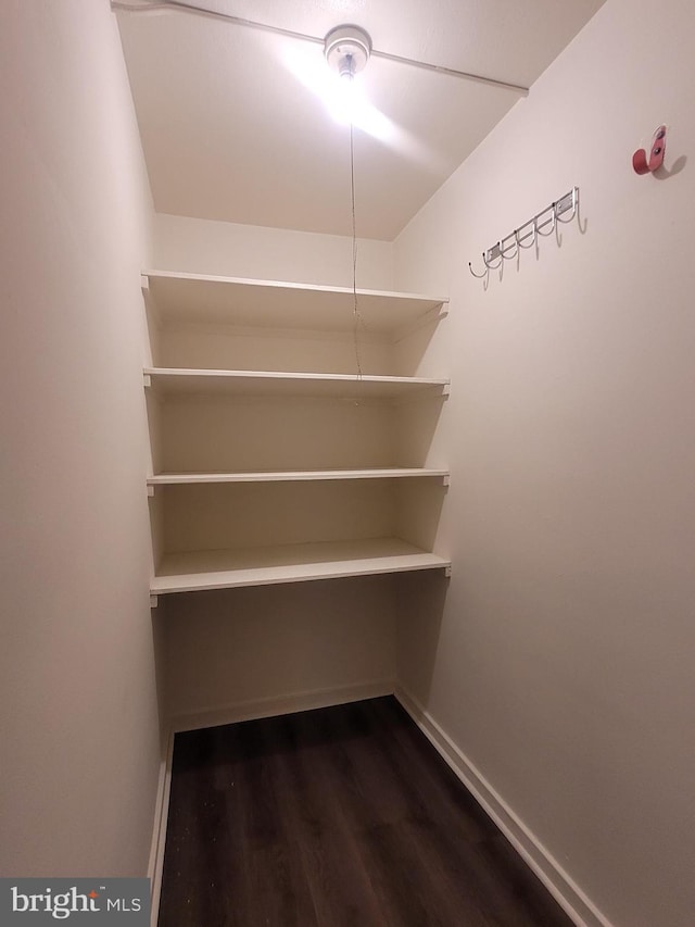 spacious closet with hardwood / wood-style flooring