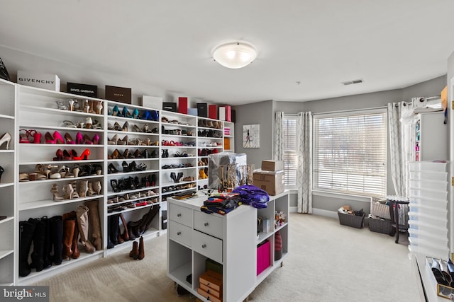 spacious closet with light colored carpet