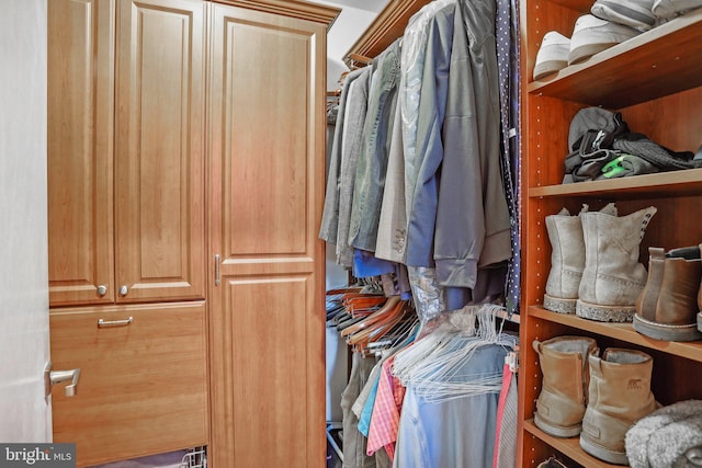 view of walk in closet