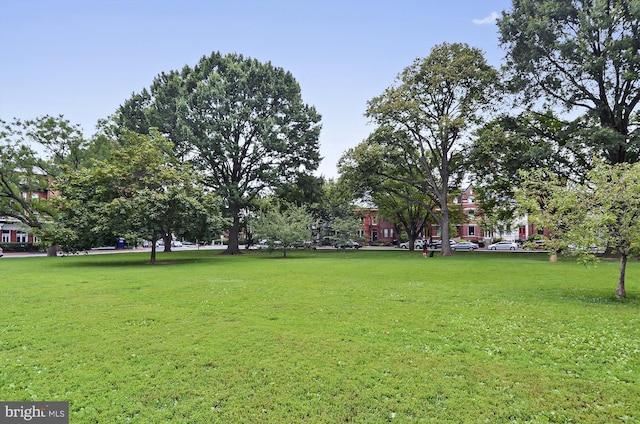 view of home's community featuring a yard