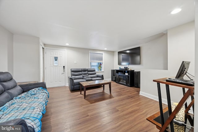 living room featuring hardwood / wood-style flooring