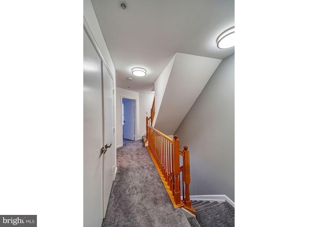 863 Barnaby St SE, Washington, DC 20032 - hall featuring carpet and stairs