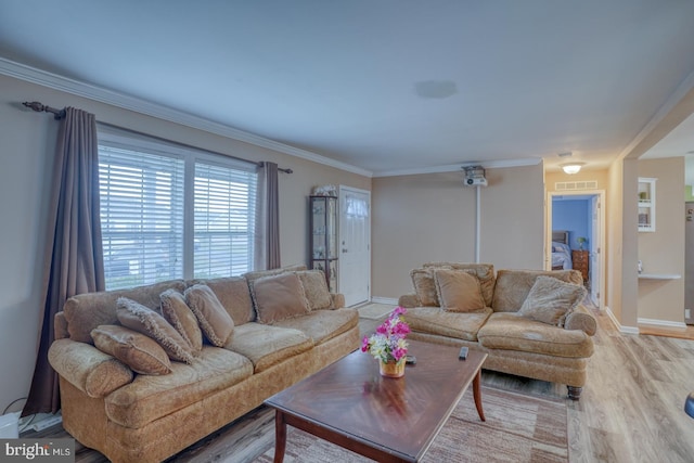 living room featuring crown molding and light hardwood / wood-style flooring