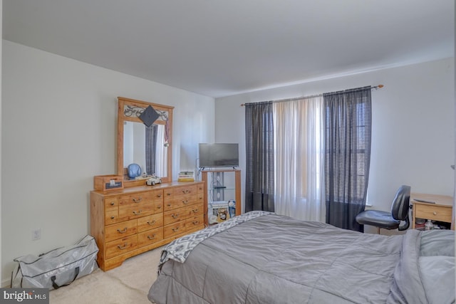 carpeted bedroom featuring multiple windows