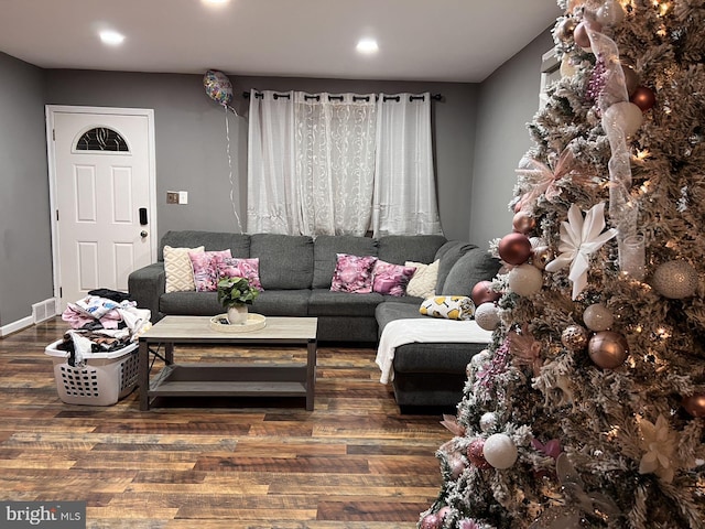 living room featuring dark wood-type flooring