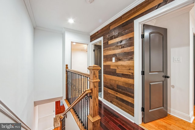 hallway featuring wooden walls, hardwood / wood-style flooring, and crown molding