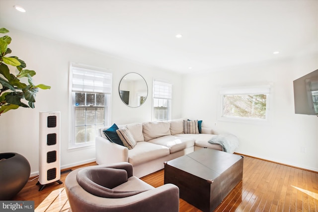 living room with light hardwood / wood-style flooring and plenty of natural light