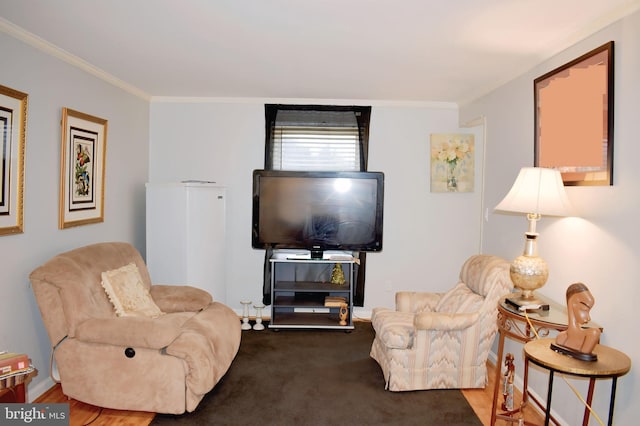 living area with crown molding