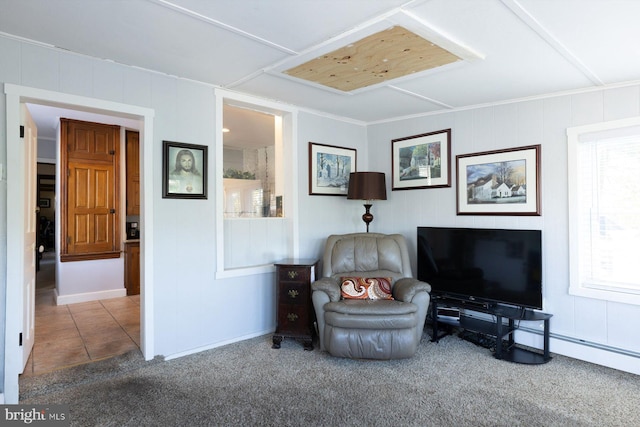 living area featuring carpet floors