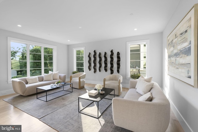 living room featuring light hardwood / wood-style floors