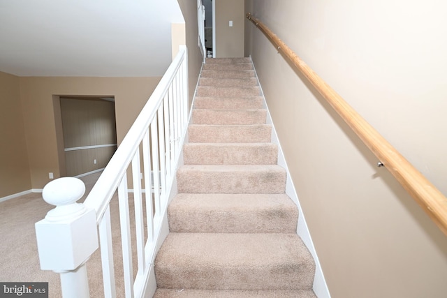 staircase featuring carpet floors