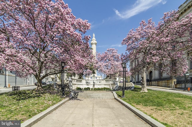 view of community with a lawn