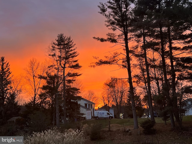 view of nature at dusk