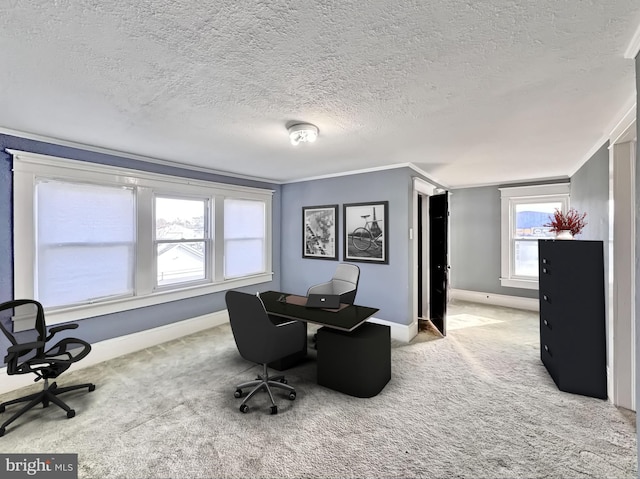 home office with carpet, plenty of natural light, crown molding, and a textured ceiling