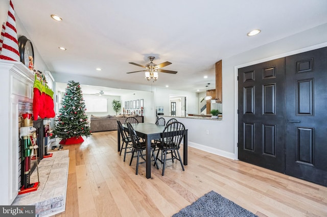 dining room with ceiling fan and light hardwood / wood-style flooring