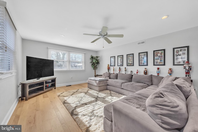 living room featuring ceiling fan and light hardwood / wood-style flooring