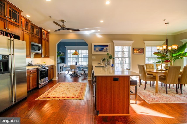 kitchen featuring ceiling fan with notable chandelier, a wealth of natural light, sink, and appliances with stainless steel finishes