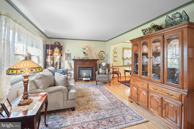 living room with crown molding and light hardwood / wood-style floors