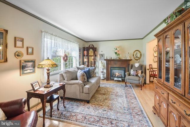 living room with crown molding and light hardwood / wood-style flooring