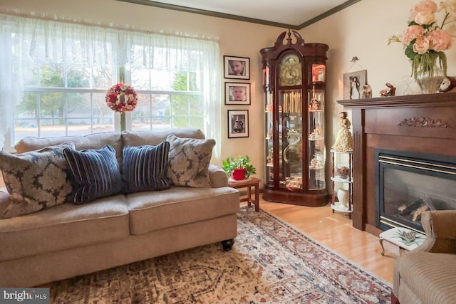 sitting room featuring crown molding and light hardwood / wood-style floors