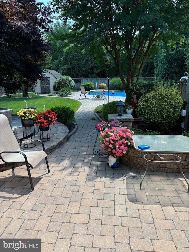 view of patio featuring a swimming pool and a shed